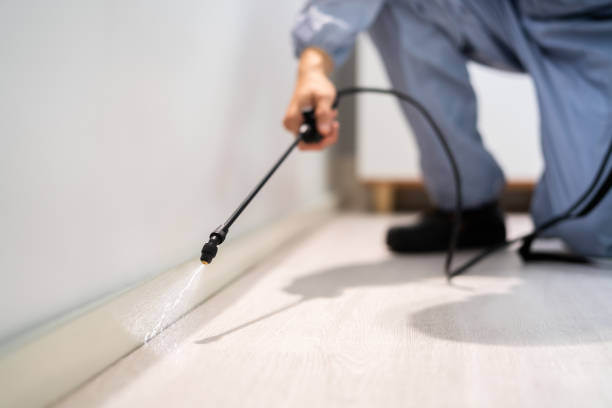 Licensed Cockroach Control service in Roselle, IL - Nex Pest Control
