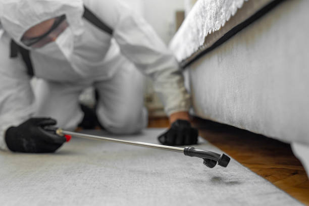 Professional Cockroach Control technician working in Roselle, IL