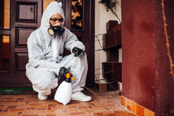Reliable Cockroach Control contractor in Roselle, IL by Nex Pest Control